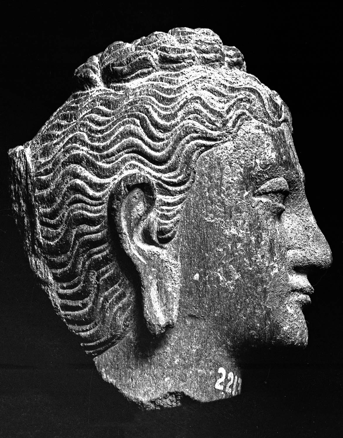 Chandigarh Museum