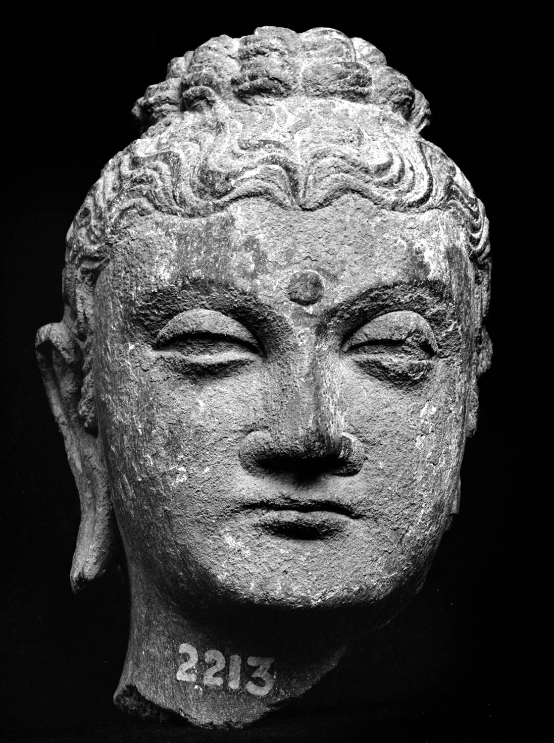 Chandigarh Museum
