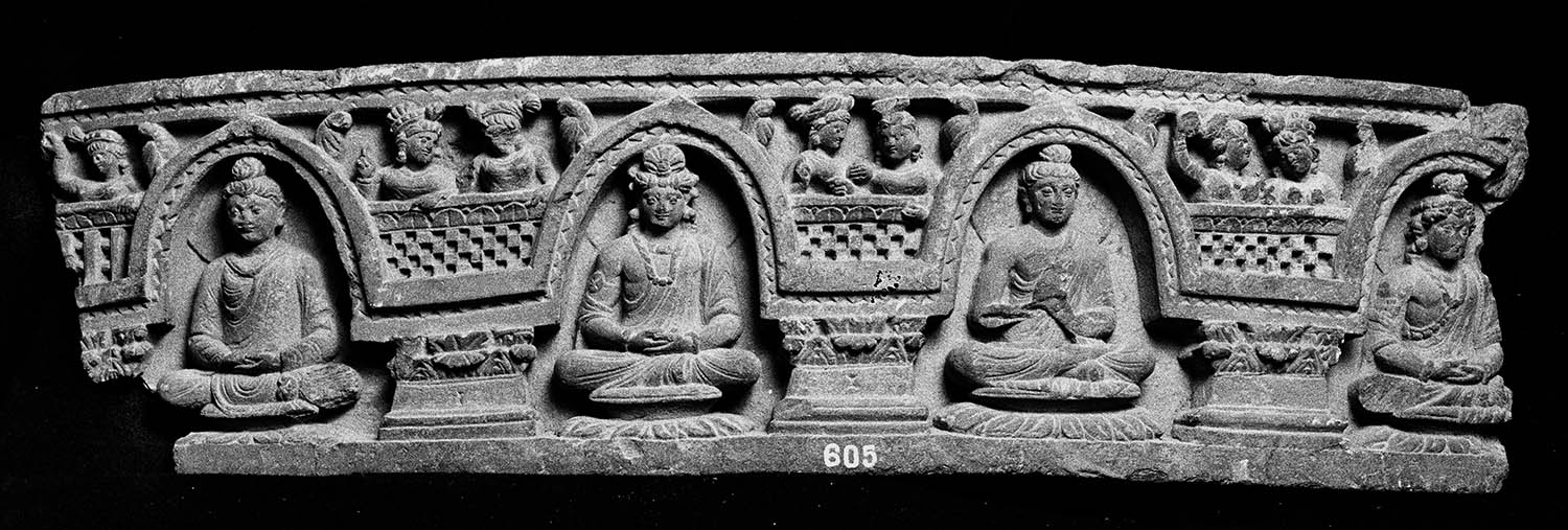Chandigarh Museum