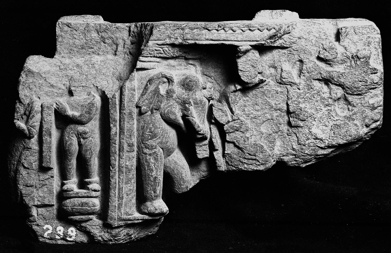 Chandigarh Museum