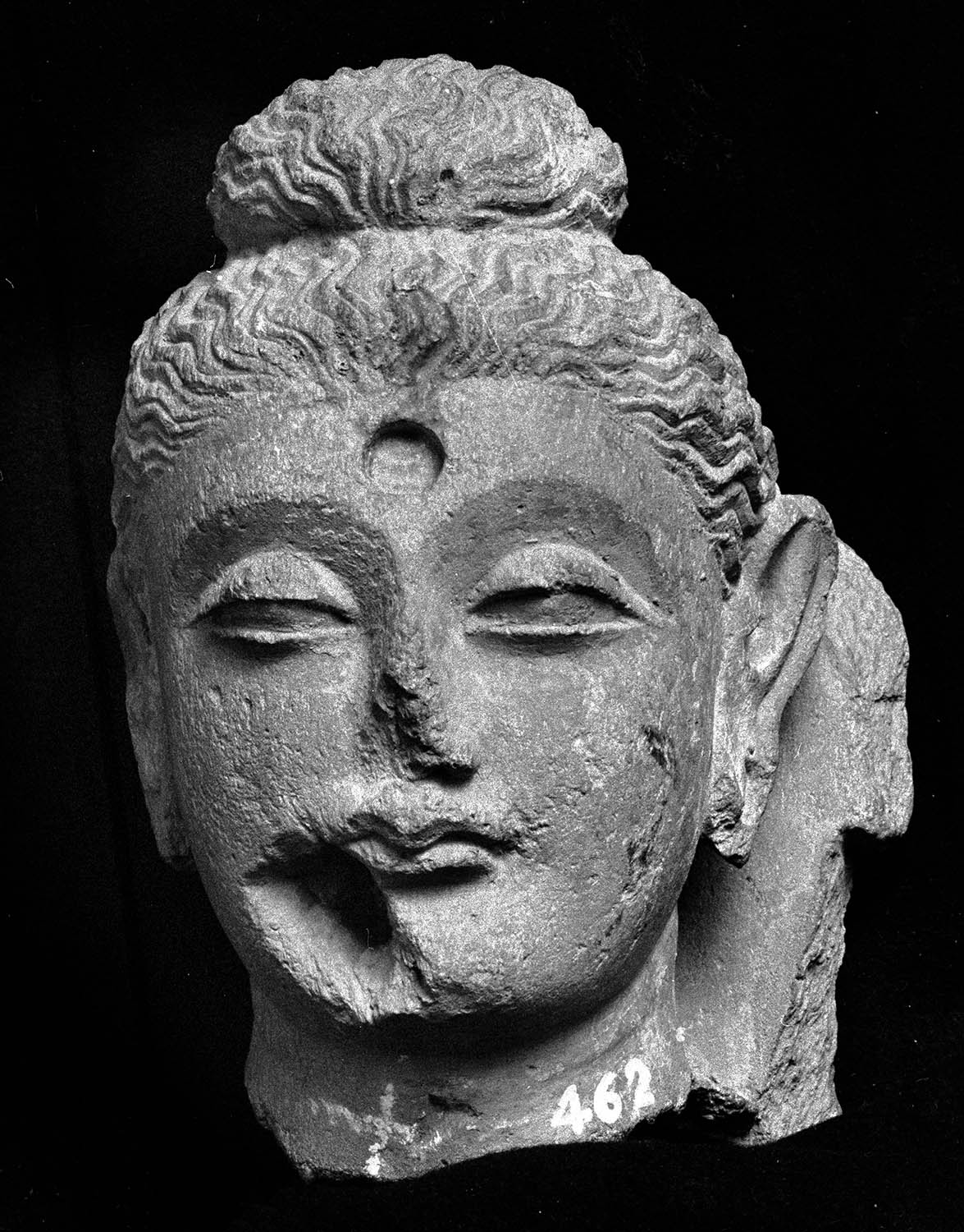 Chandigarh Museum