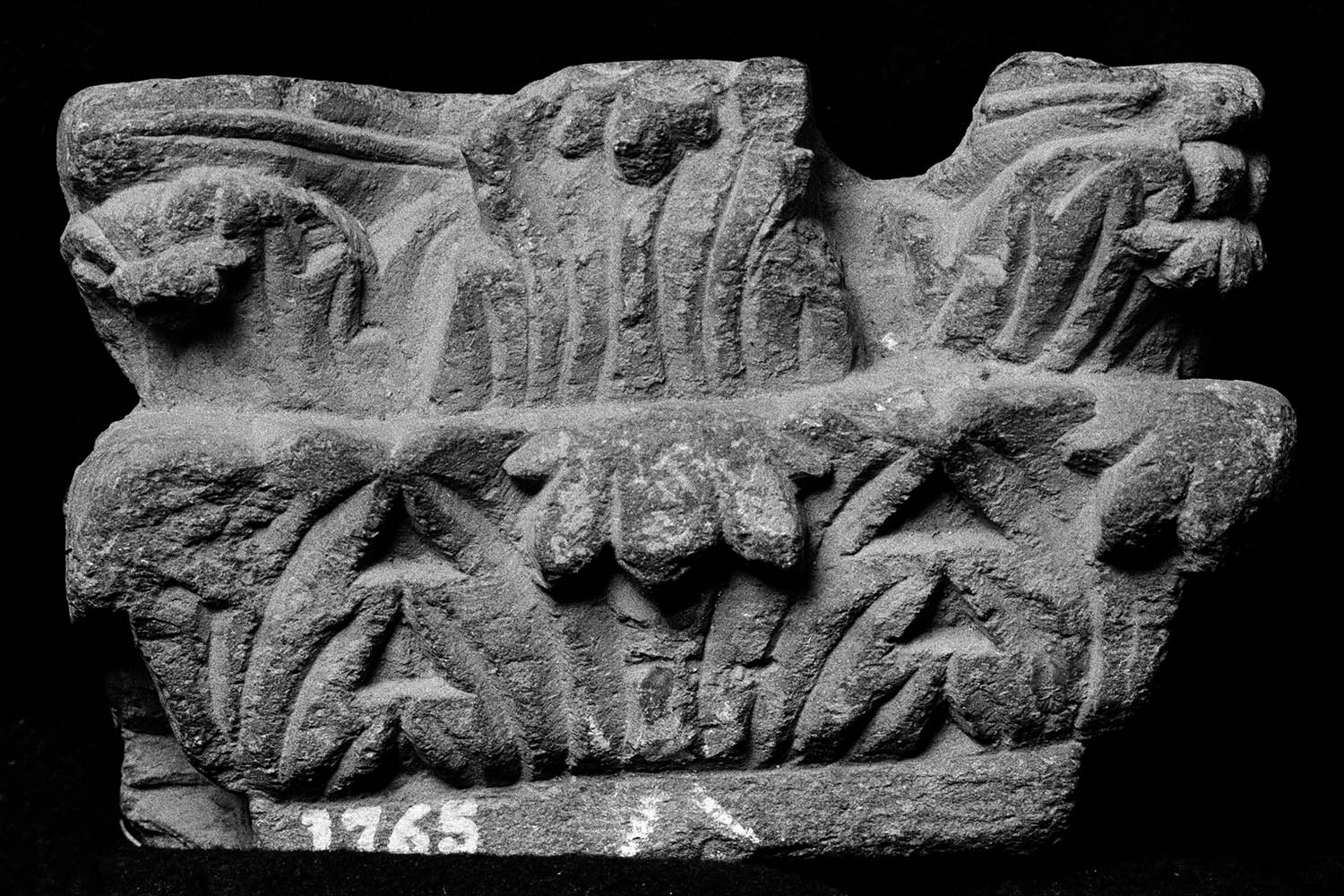 Chandigarh Museum