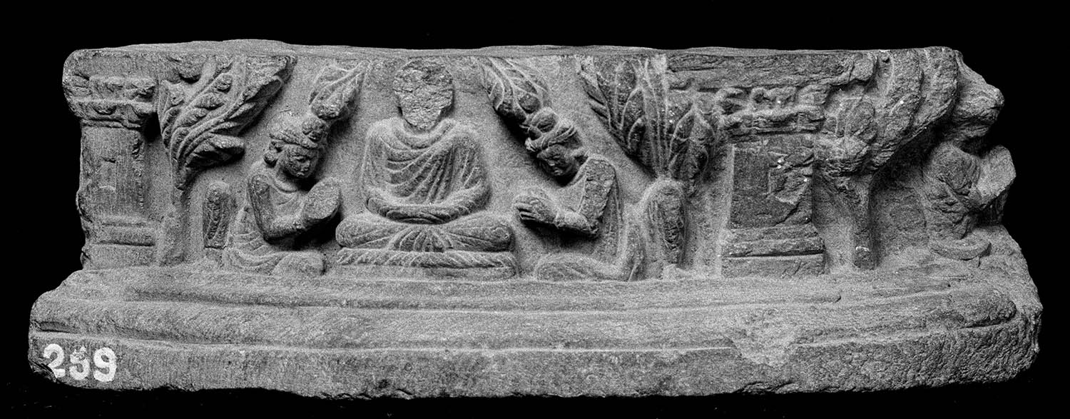Chandigarh Museum