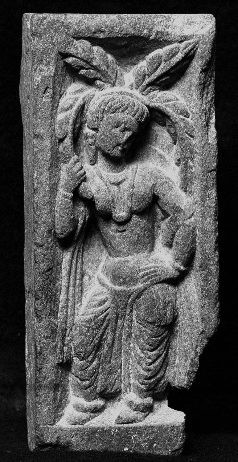 Chandigarh Museum