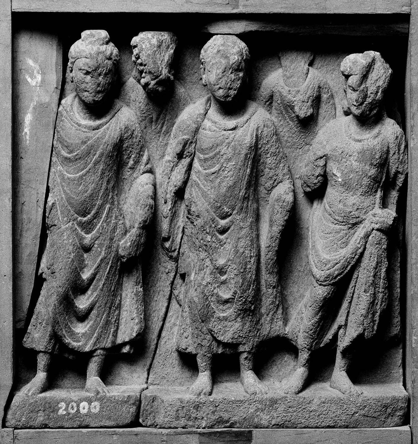Chandigarh Museum