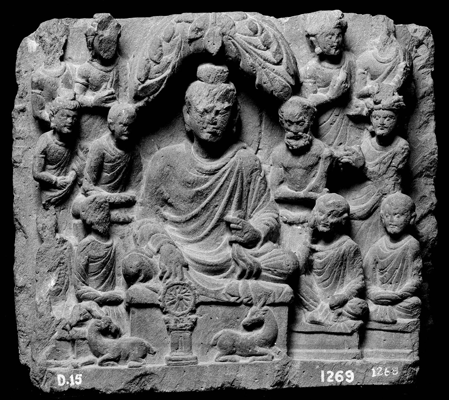 Chandigarh Museum