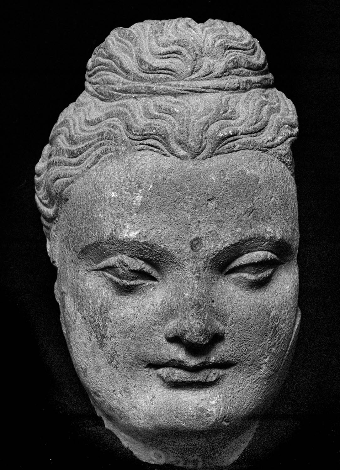 Chandigarh Museum