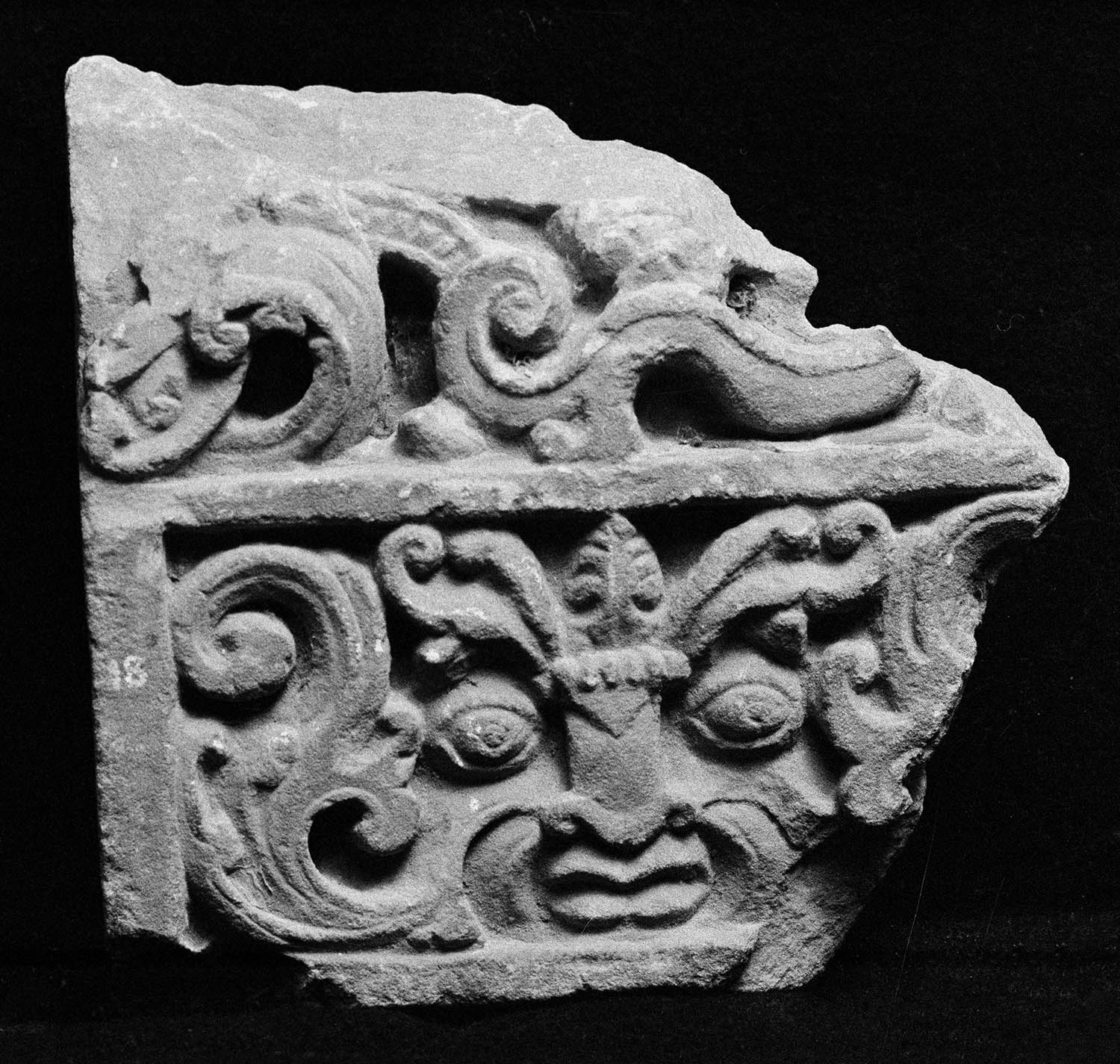 Chandigarh Museum