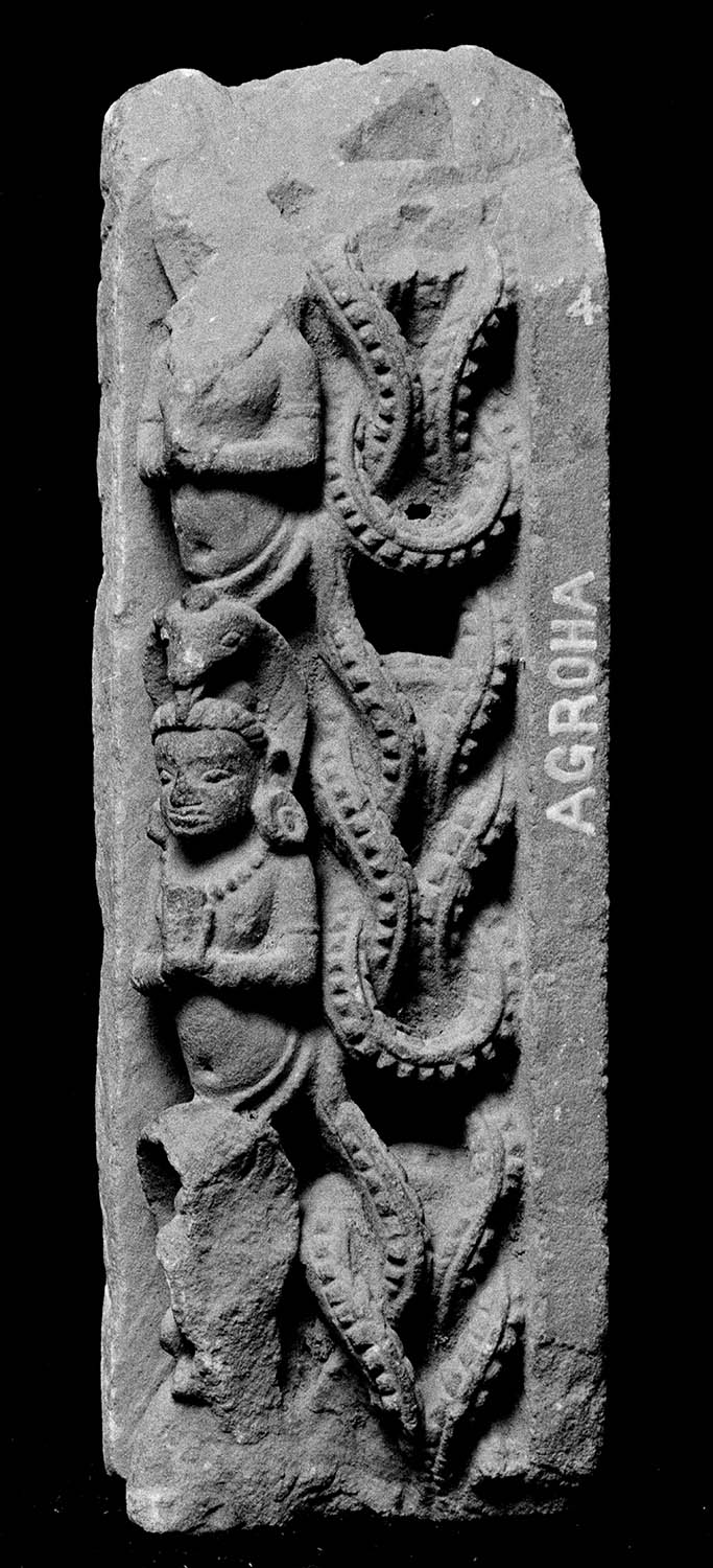 Chandigarh Museum