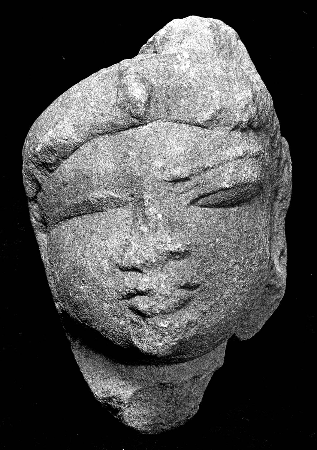 Chandigarh Museum