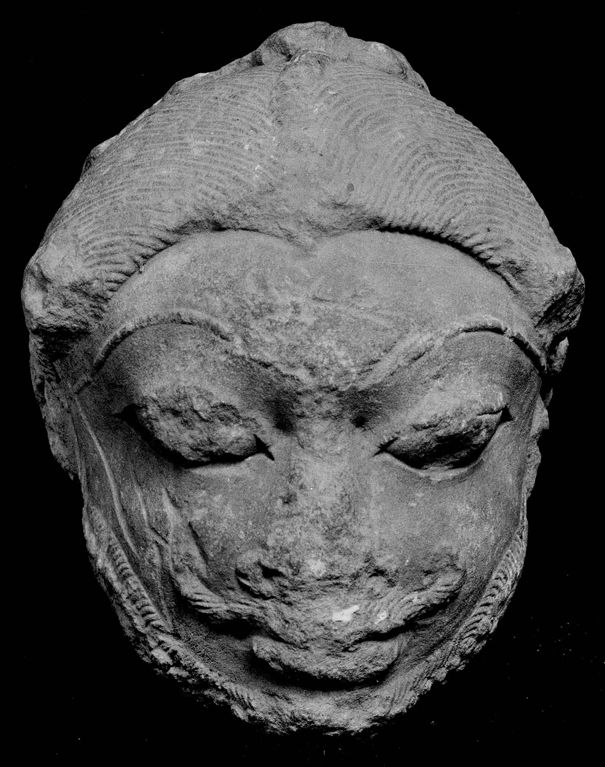 Chandigarh Museum
