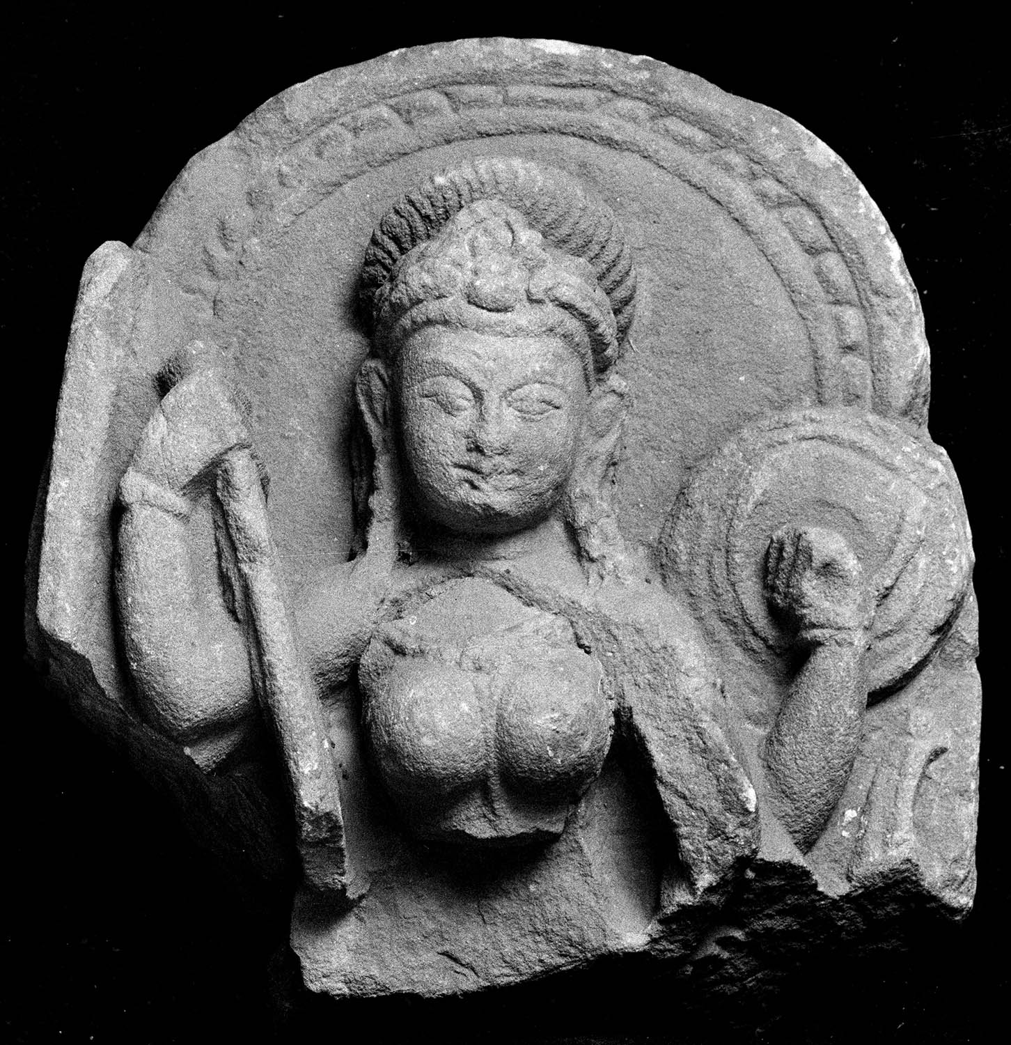 Chandigarh Museum