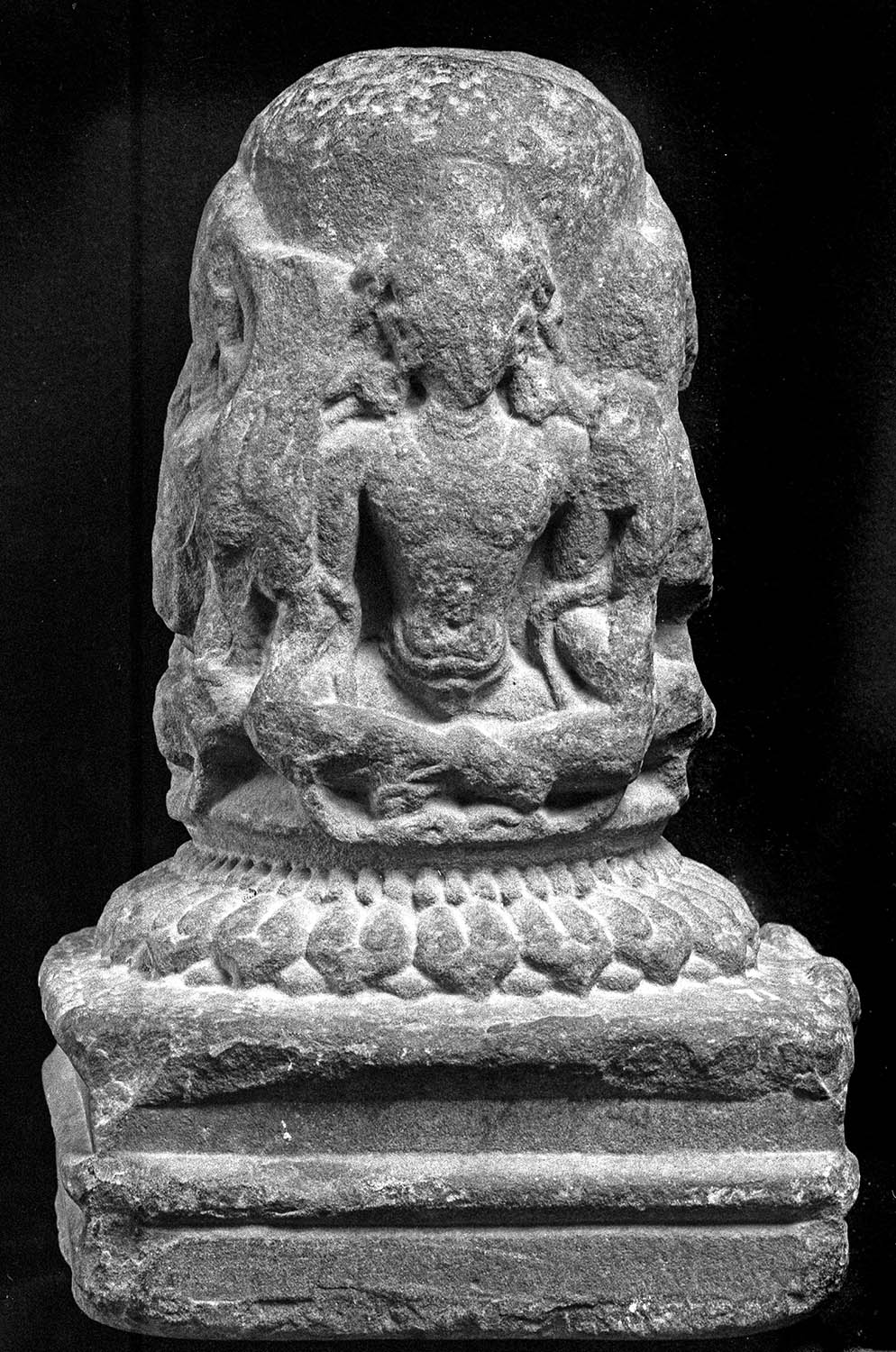 Chandigarh Museum