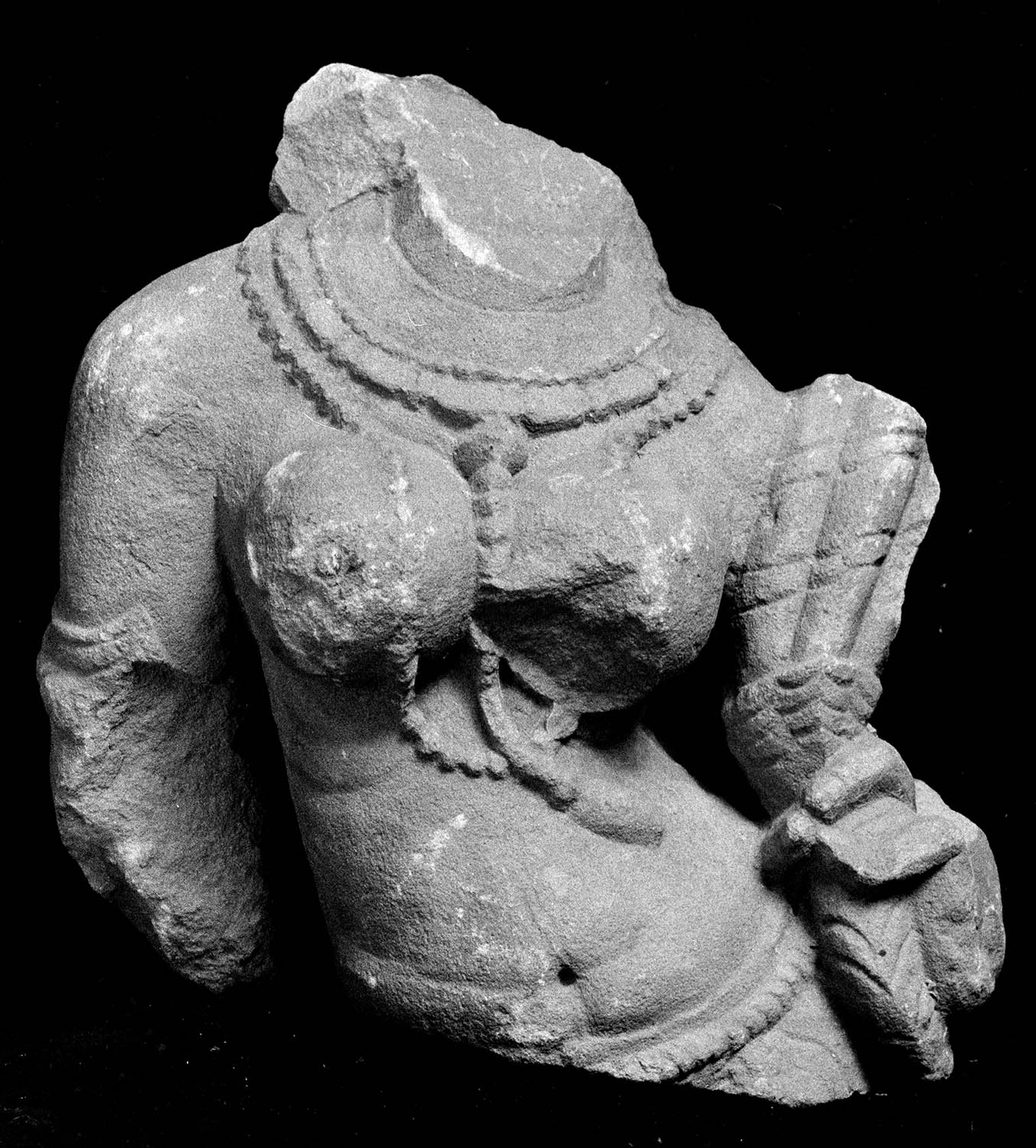 Chandigarh Museum