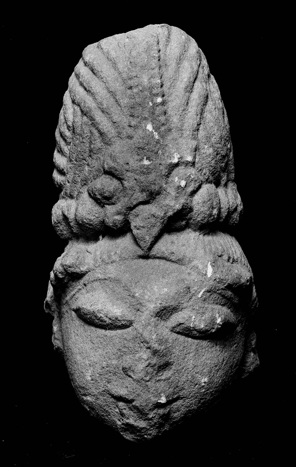 Chandigarh Museum