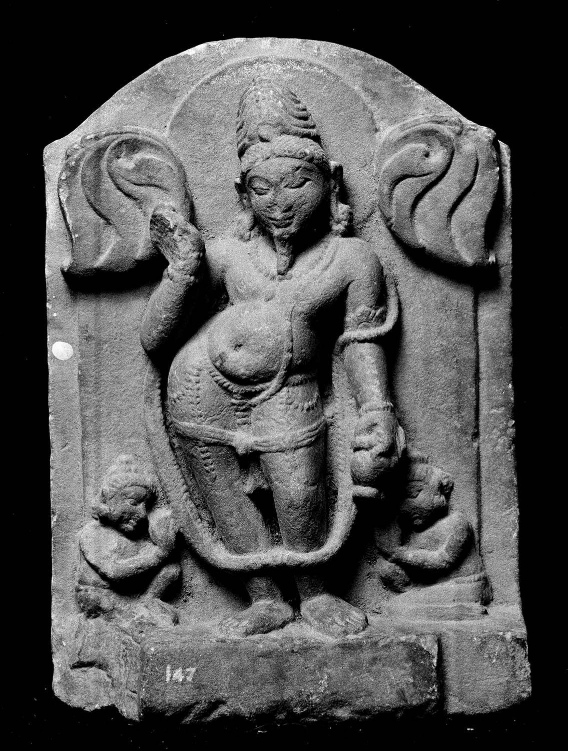 Chandigarh Museum