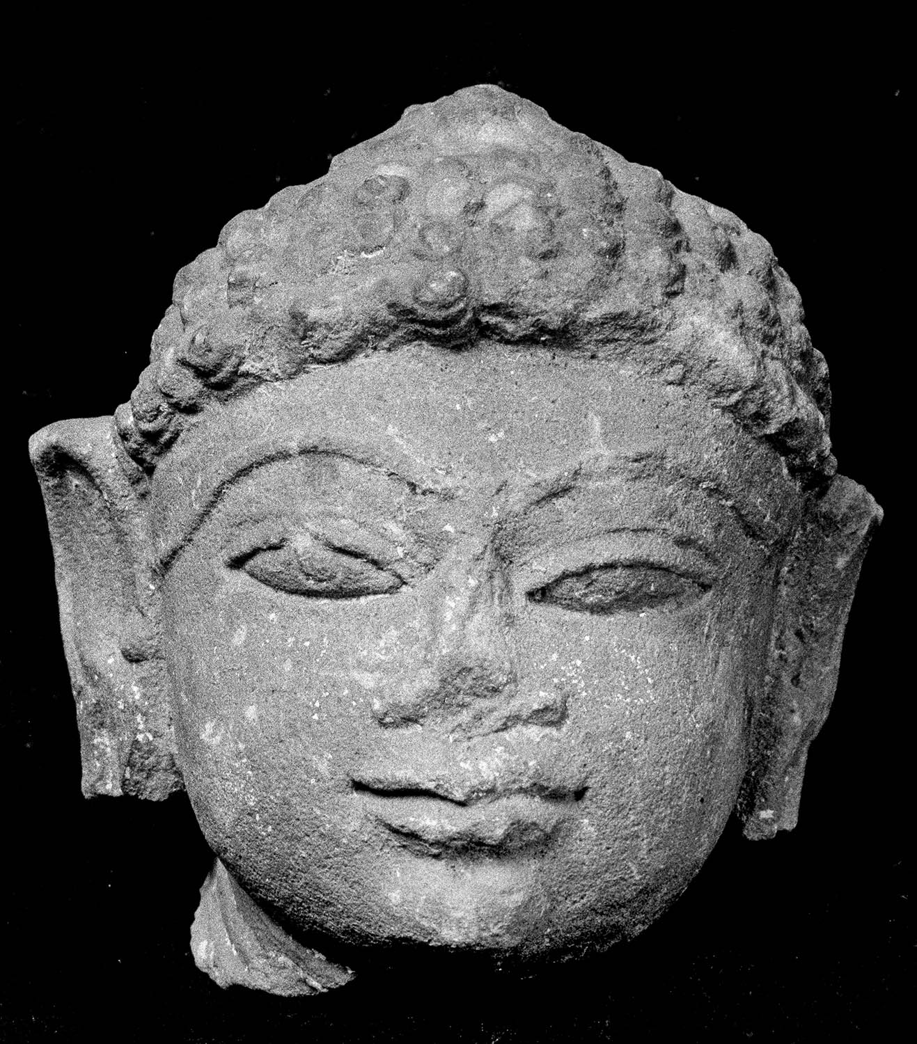 Chandigarh Museum