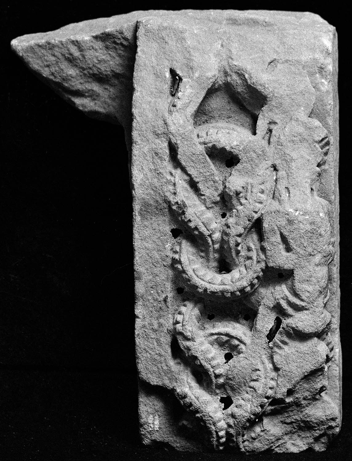 Chandigarh Museum