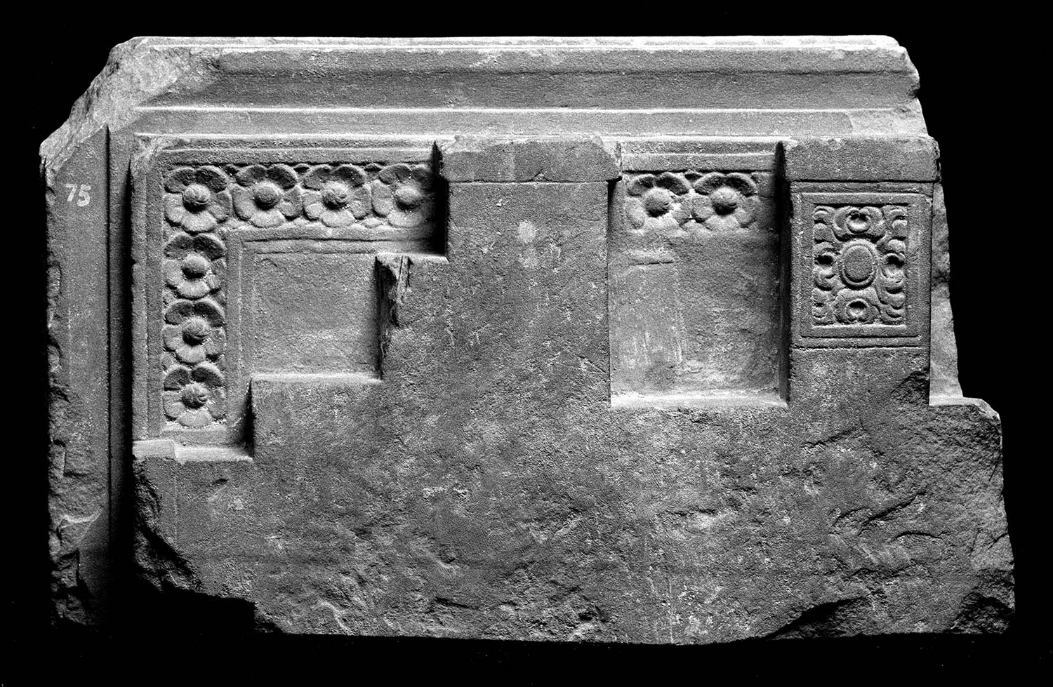 Chandigarh Museum