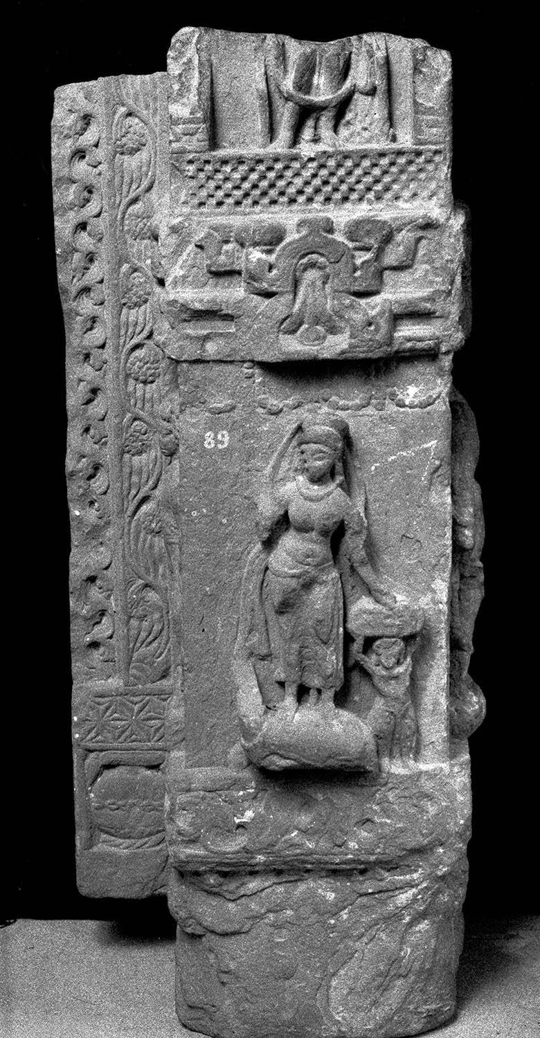 Chandigarh Museum
