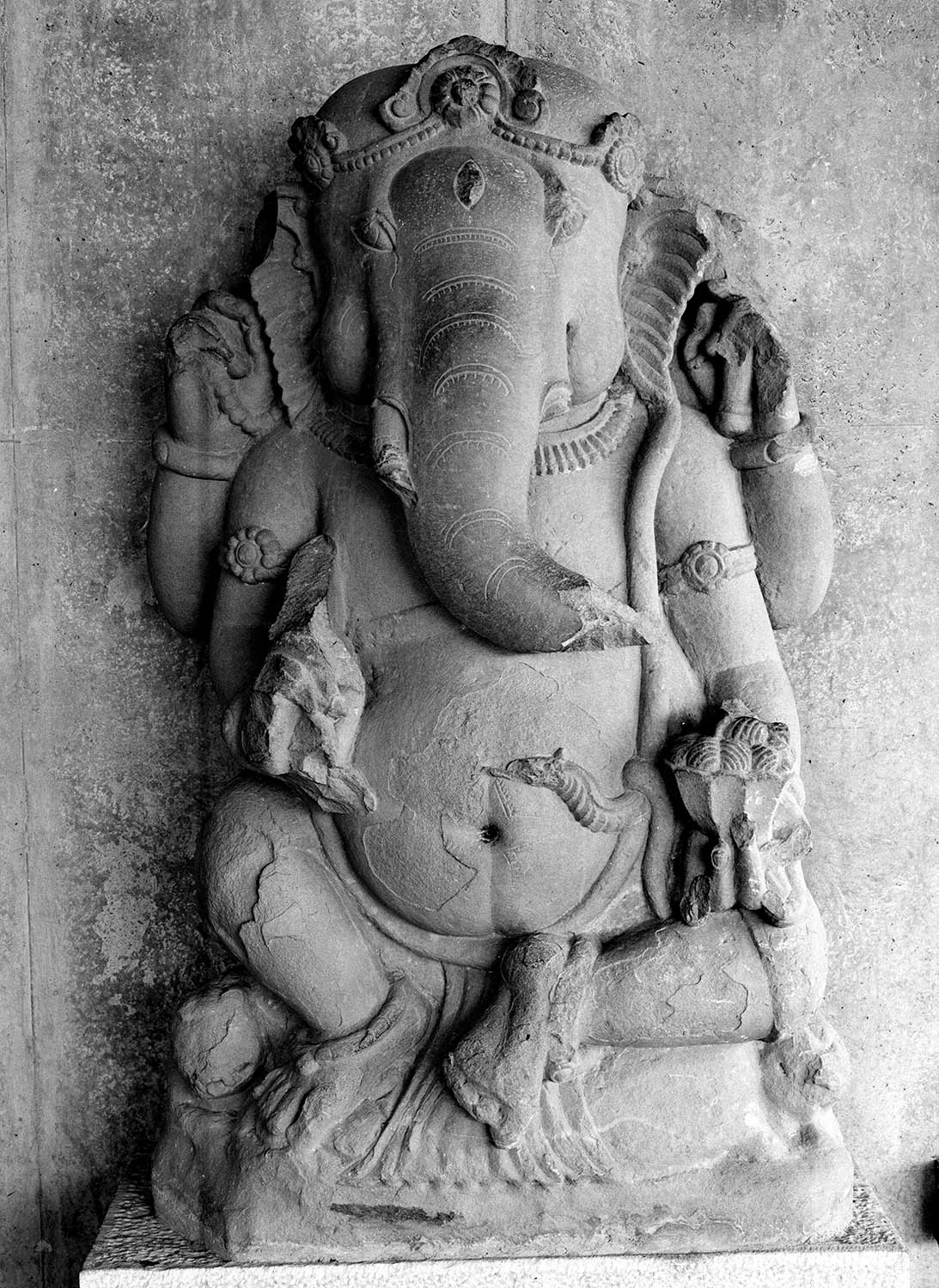 Chandigarh Museum