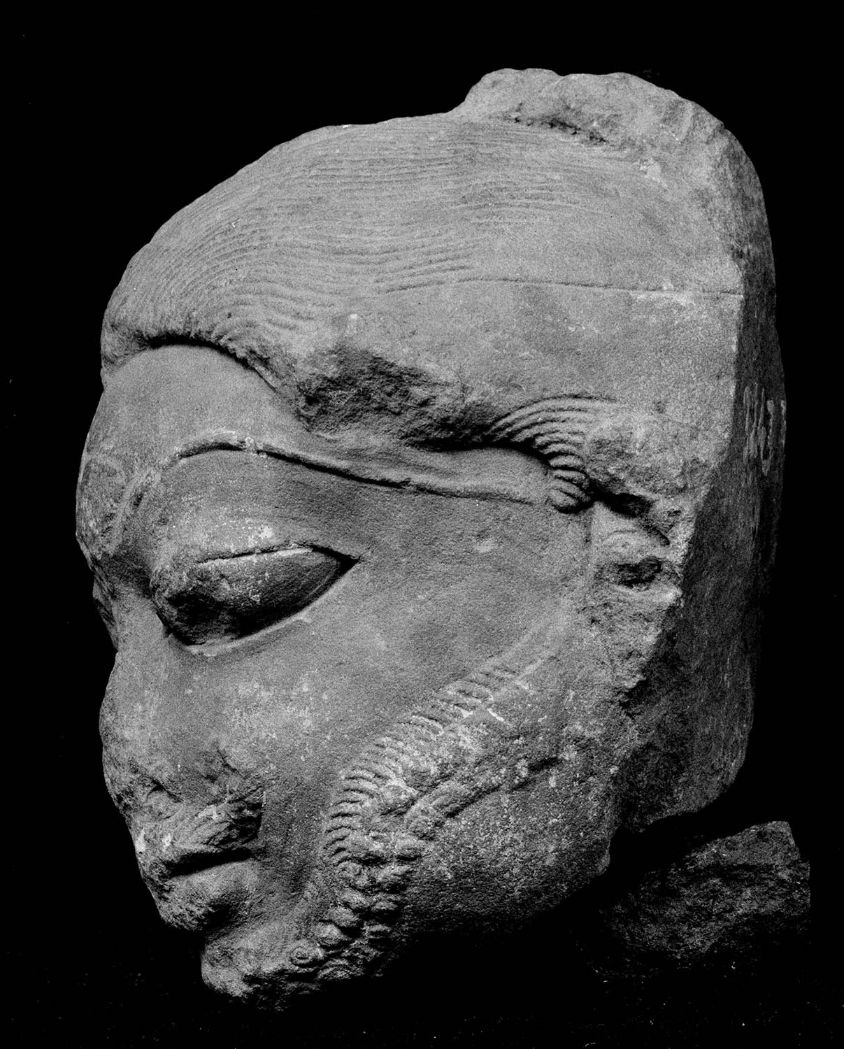 Chandigarh Museum