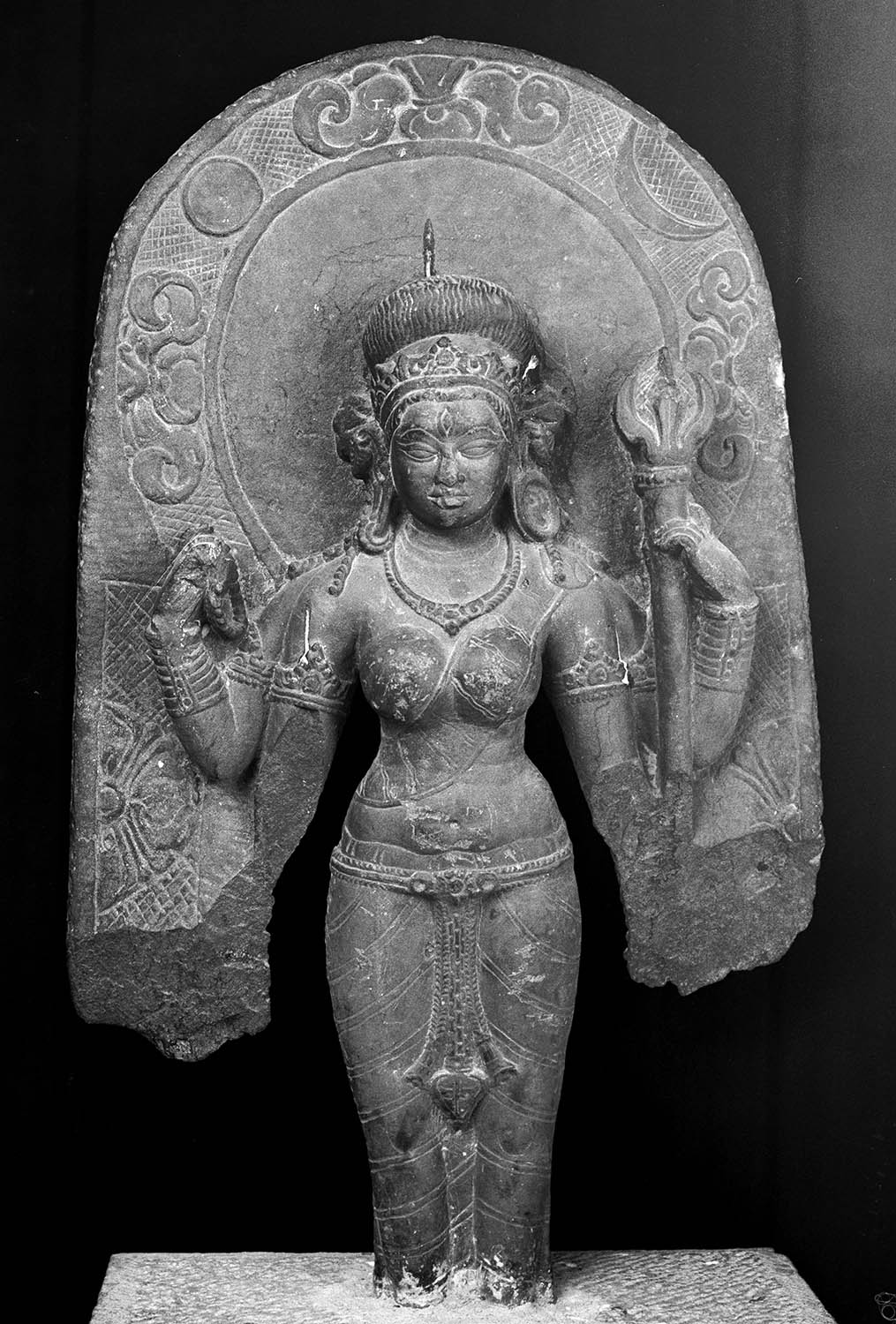 Chandigarh Museum