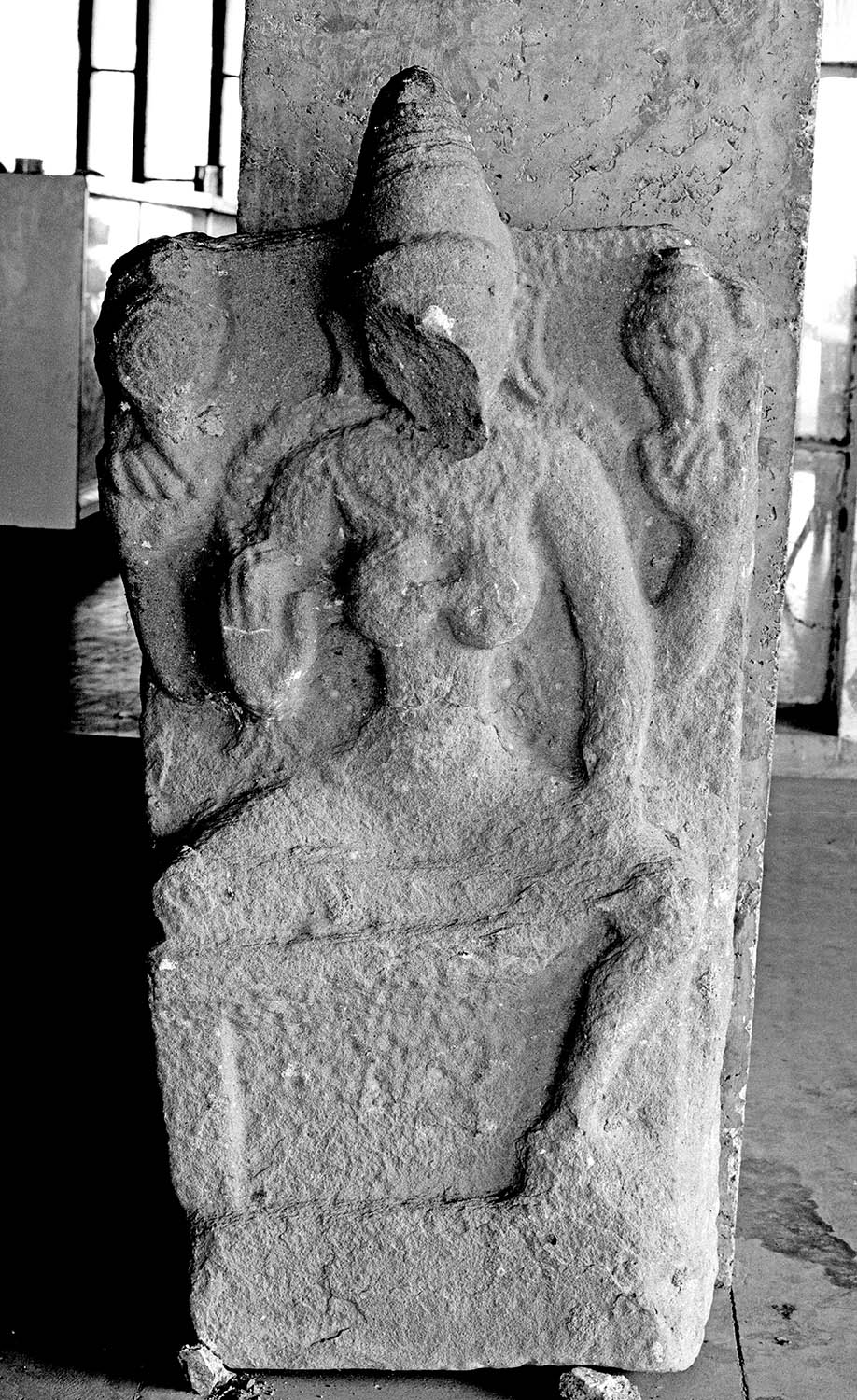 Chandigarh Museum