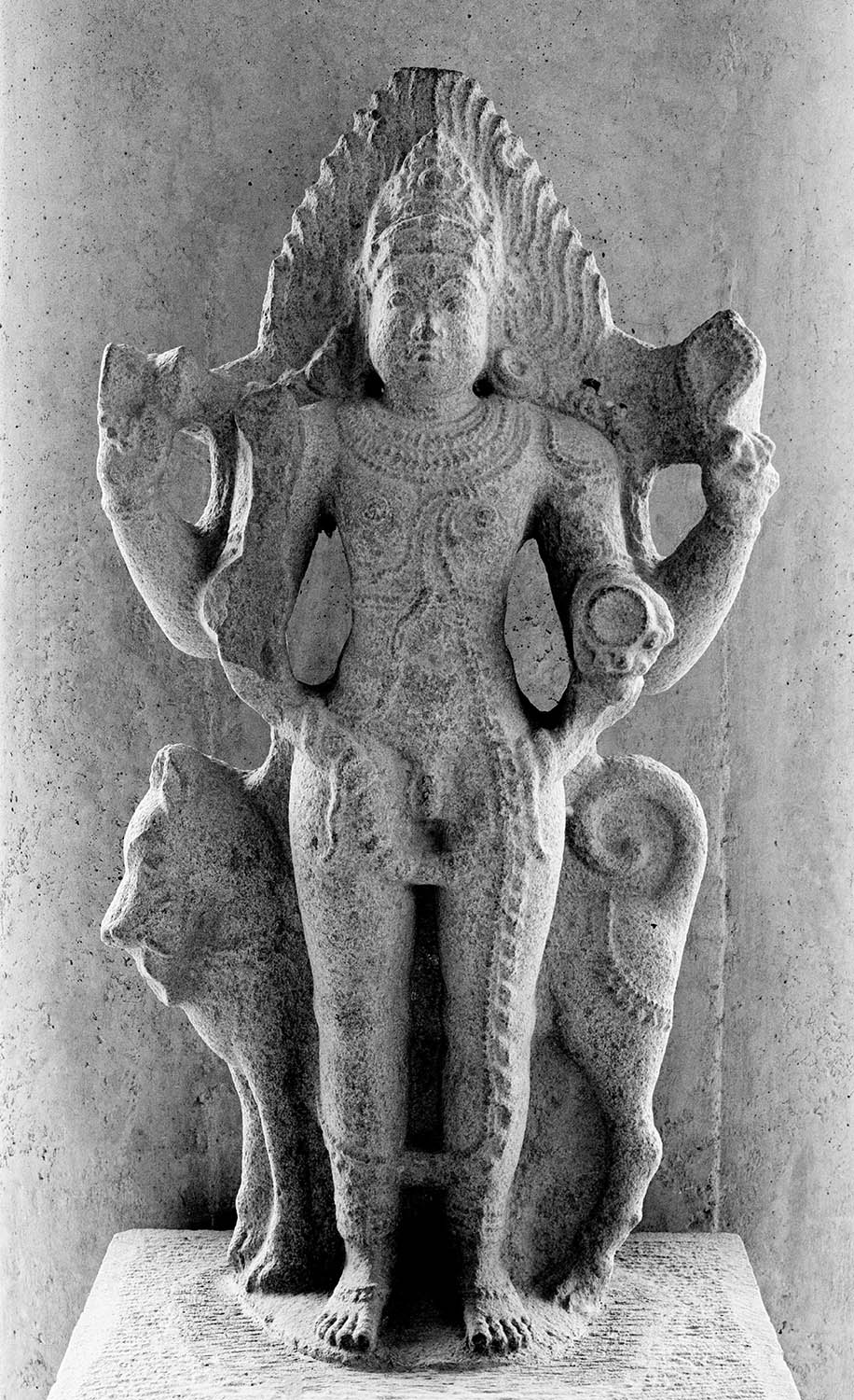 Chandigarh Museum