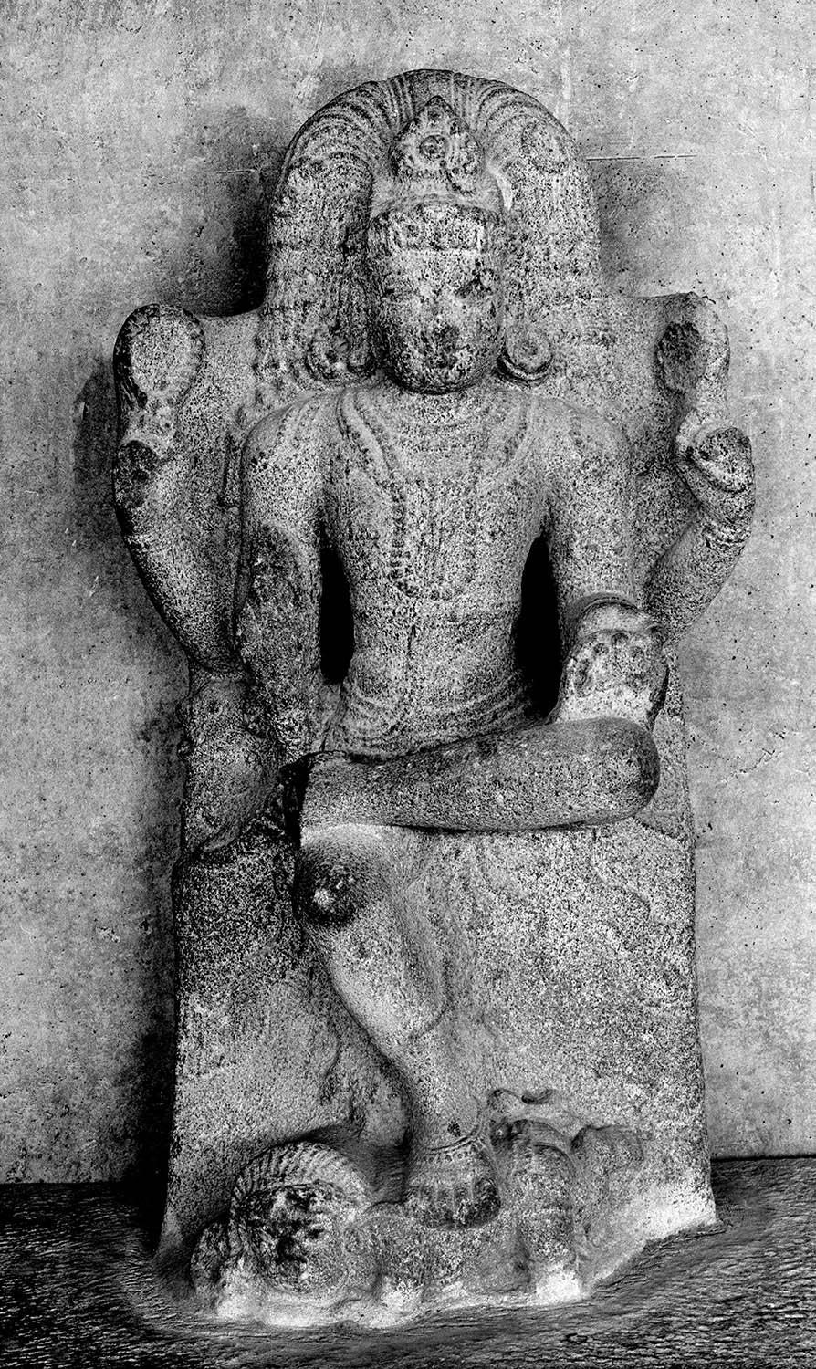 Chandigarh Museum