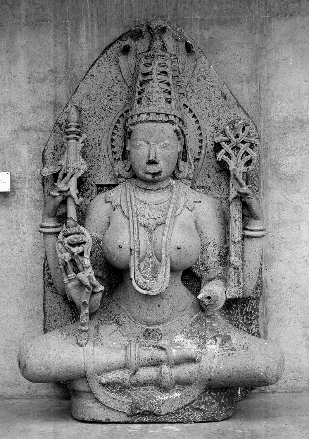 Chandigarh Museum