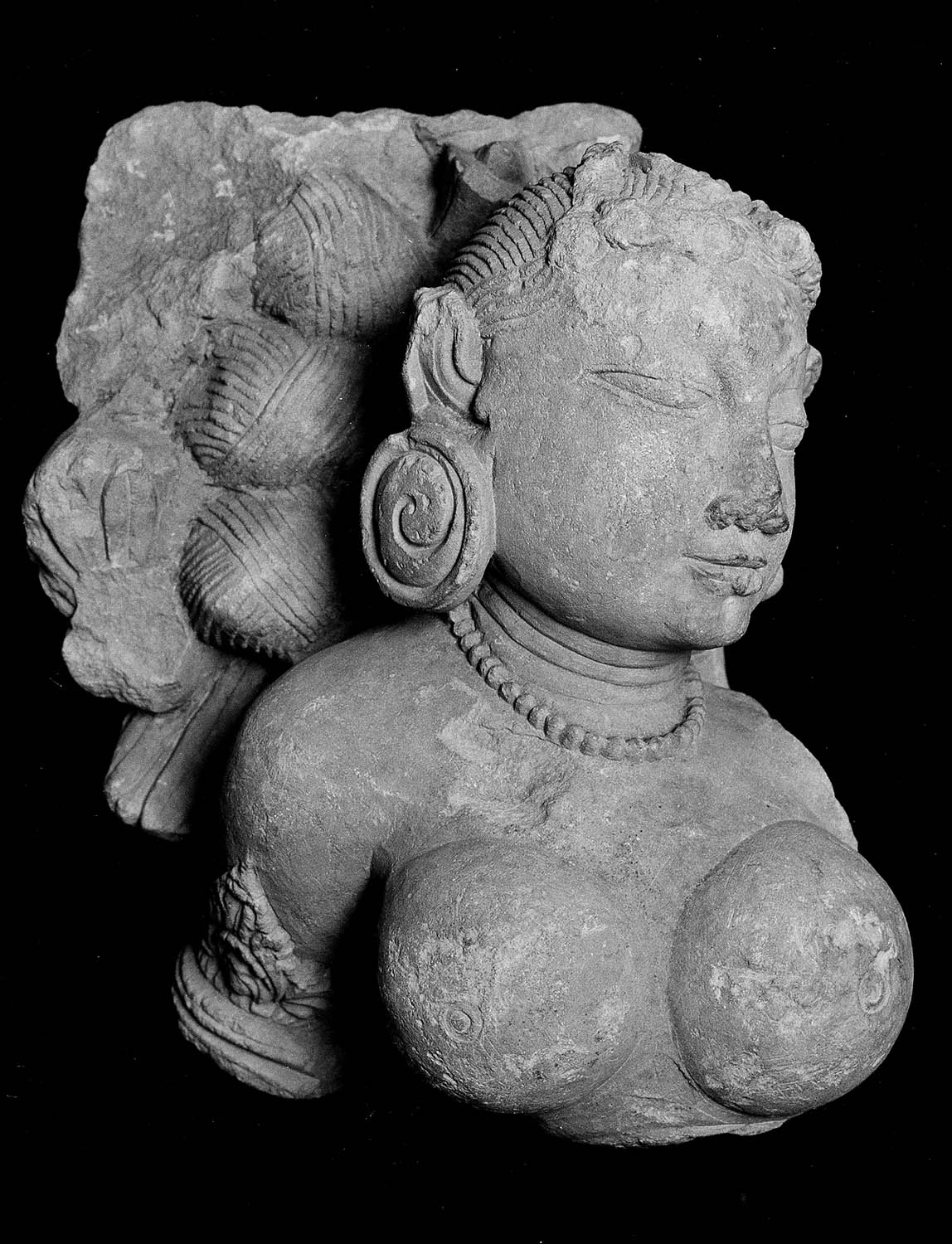Birla Museum, Bhopal, Madhya Pradesh