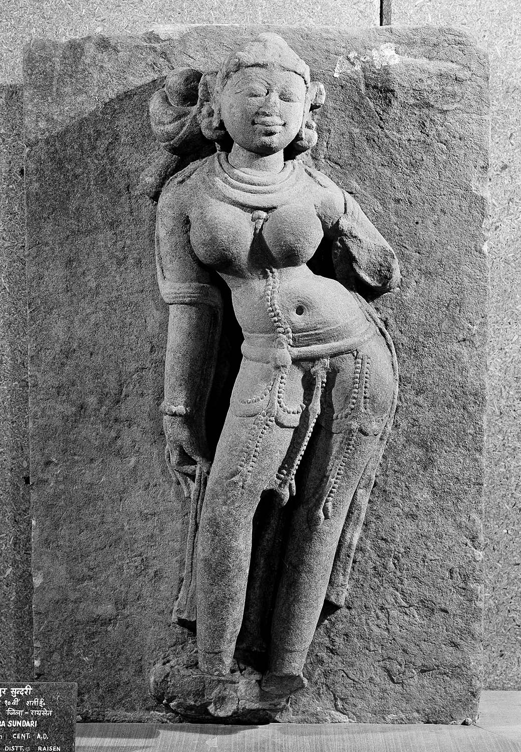 Birla Museum, Bhopal, Madhya Pradesh