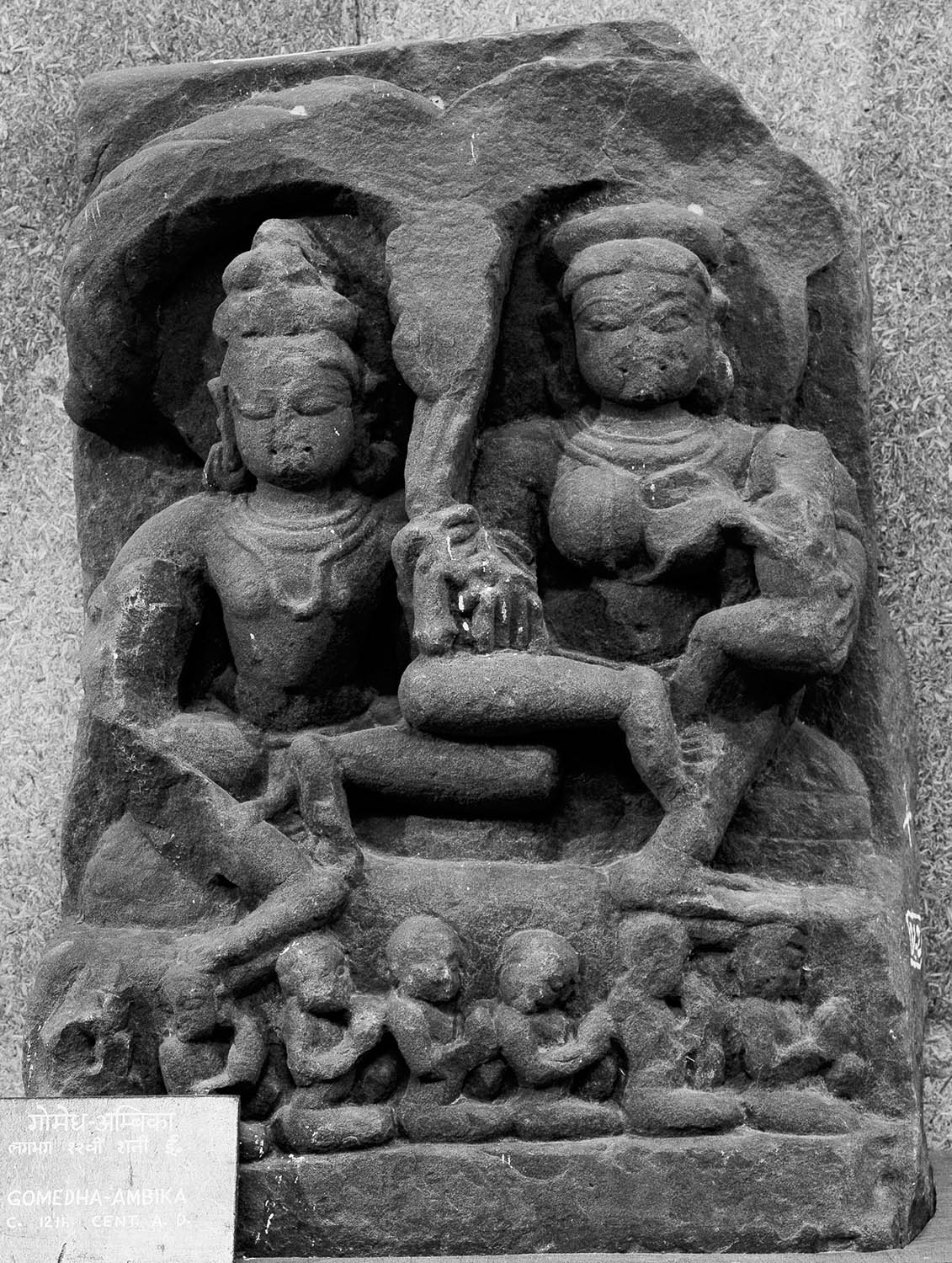 Birla Museum, Bhopal, Madhya Pradesh