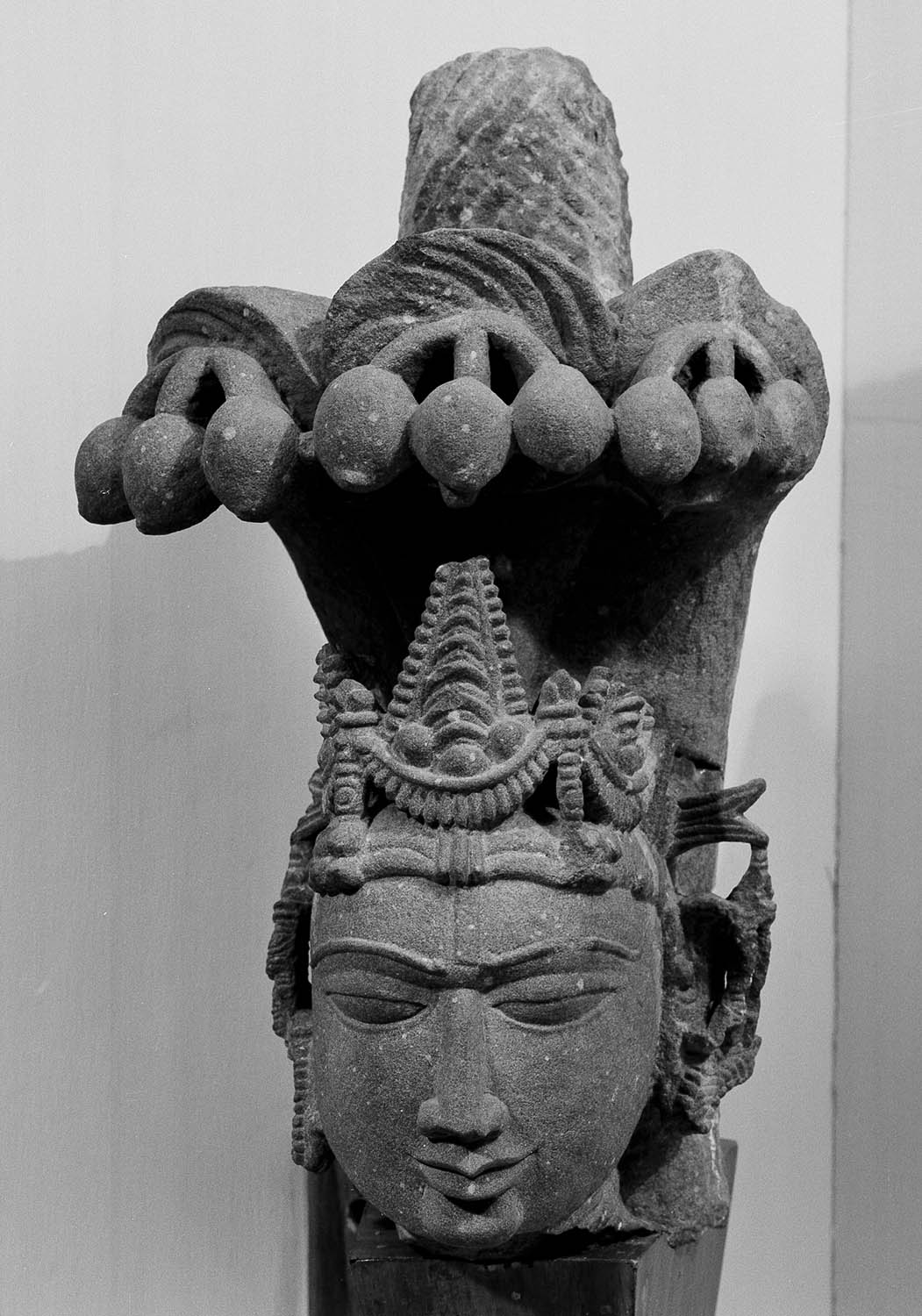 Birla Museum, Bhopal, Madhya Pradesh