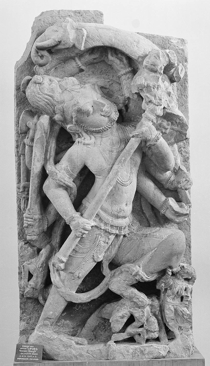Bhopal Museum, Madhya Pradesh