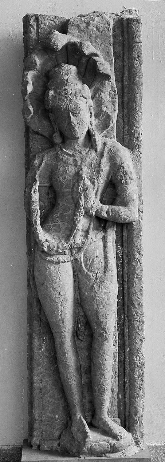 Bhopal Museum, Madhya Pradesh