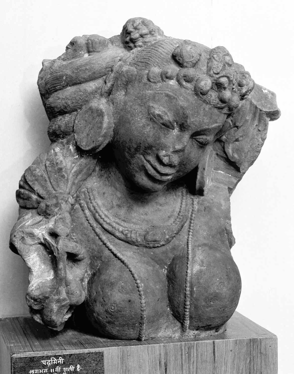 Bhopal Museum, Madhya Pradesh