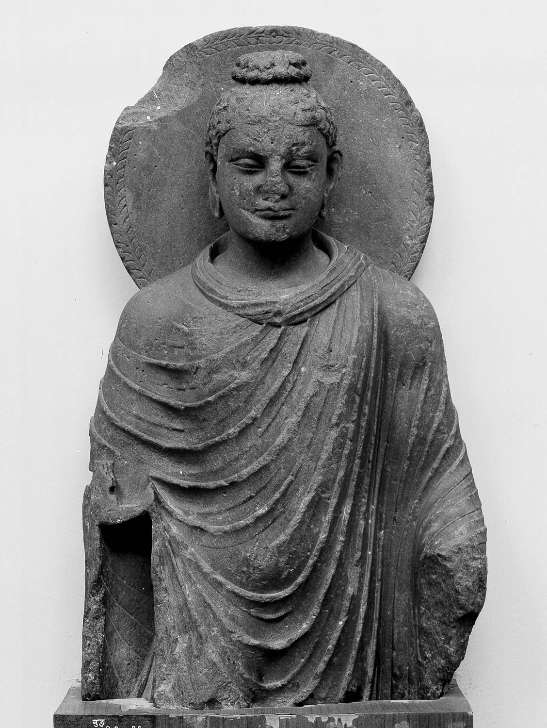 Bhopal Museum, Madhya Pradesh