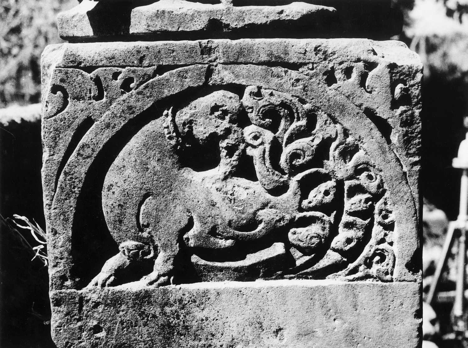 Ankol Mata Vav, Davad, Gujarat