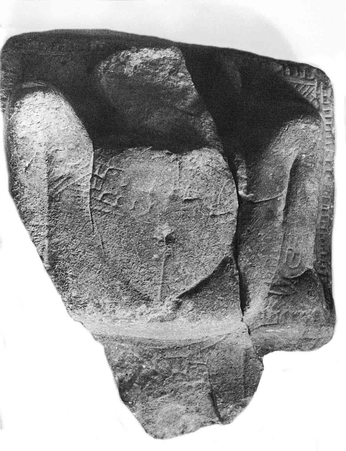 Lajja Gauri