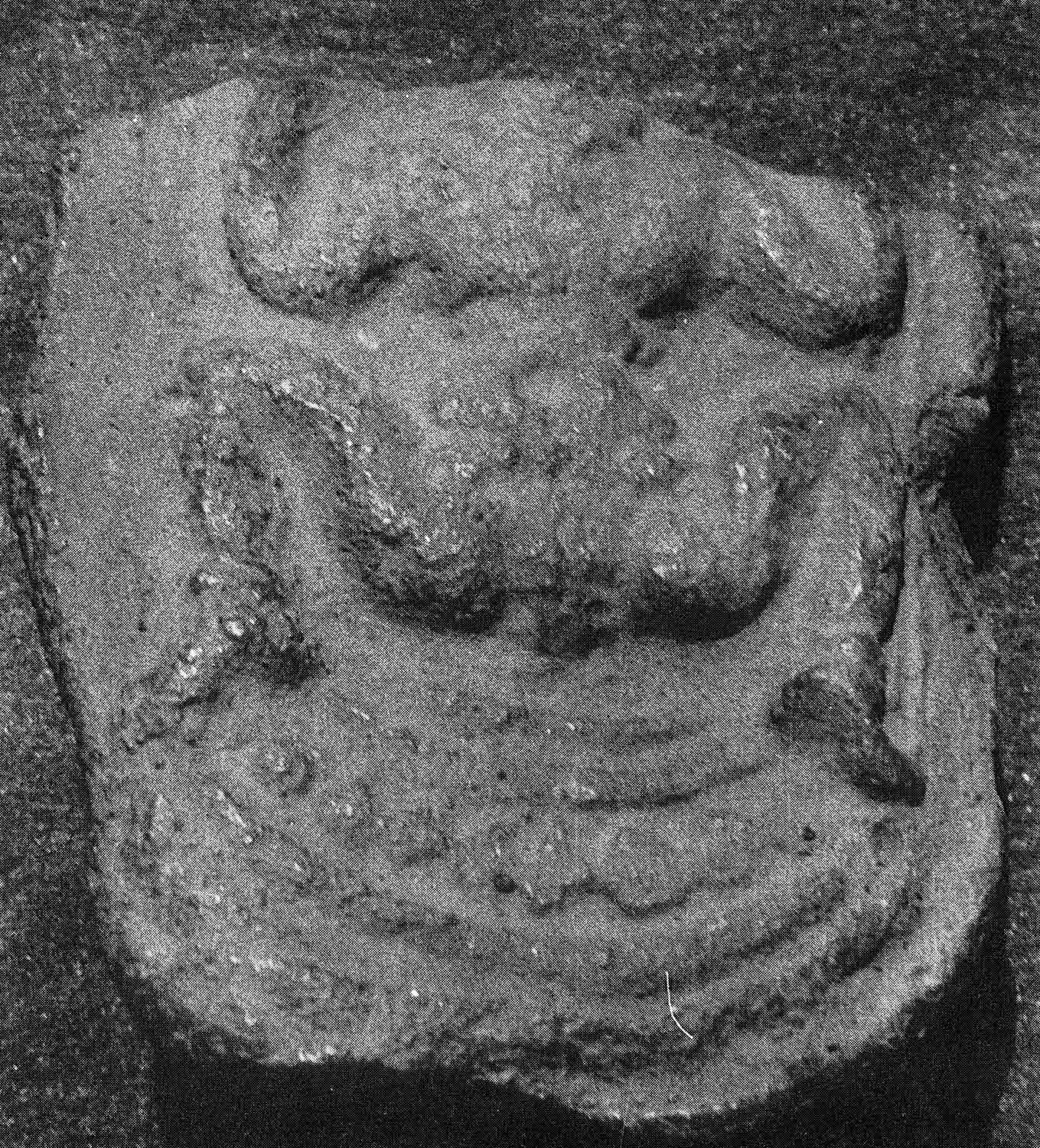 Lajja Gauri
