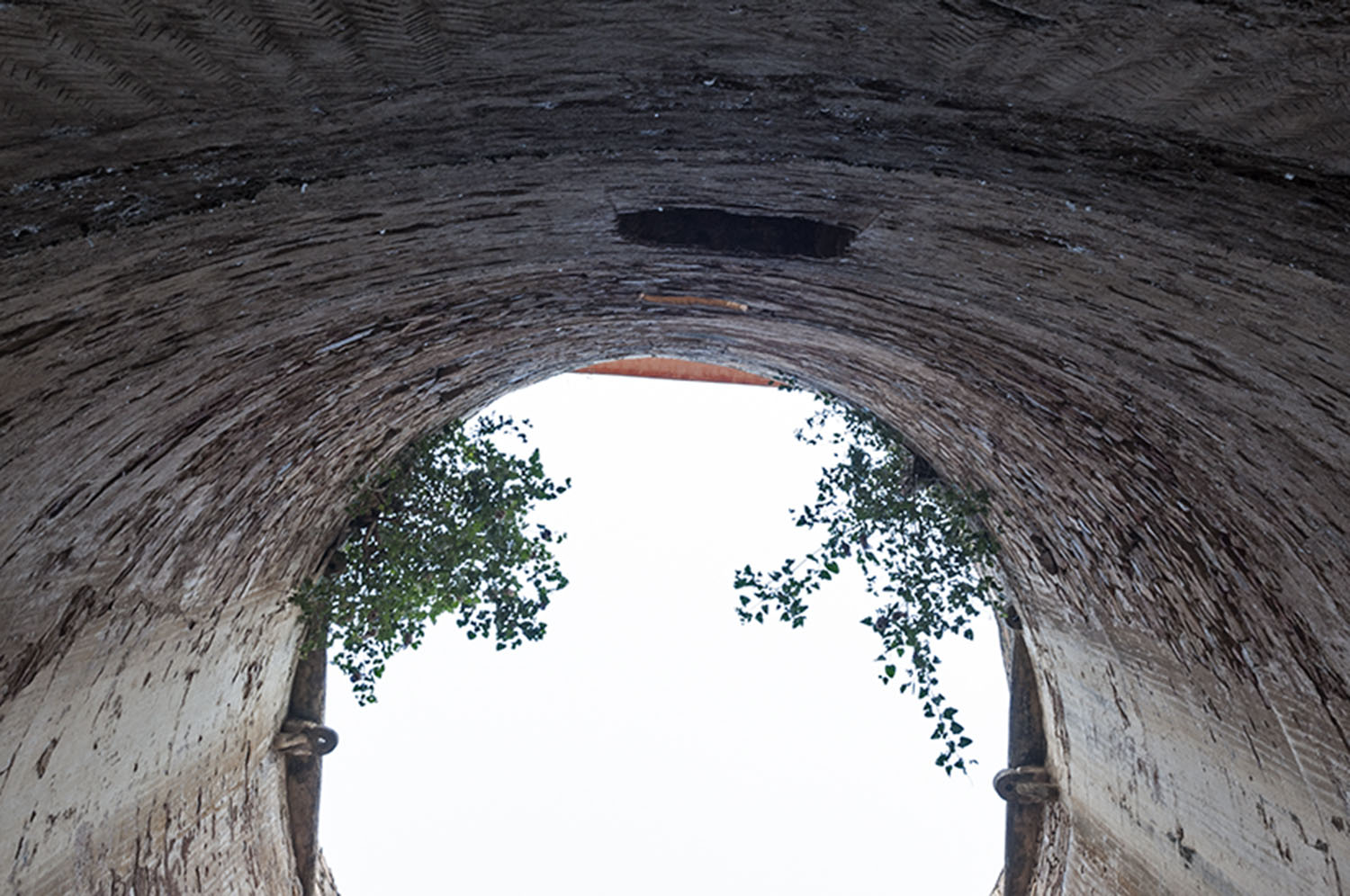 Baoli, Bhandarej, Rajasthan
