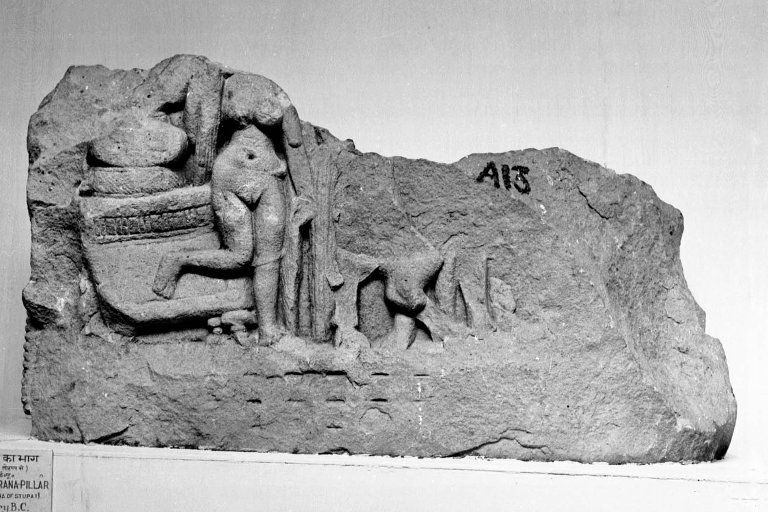 Sanchi Museum, Sanchi, Madhya Pradesh