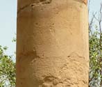 Asokan Pillar (Hindu Rao Hospital), Delhi