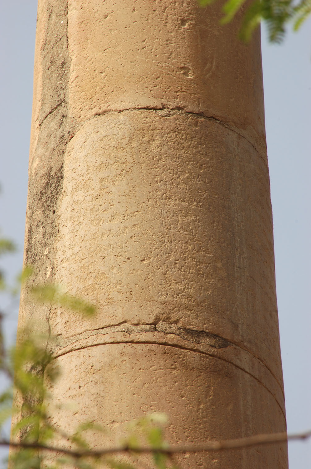 Asokan Pillar (Hindu Rao Hospital), Delhi