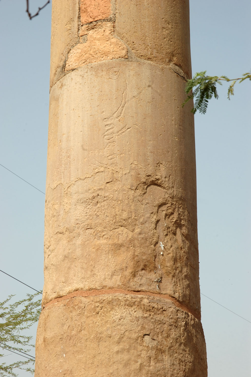 Asokan Pillar (Hindu Rao Hospital), Delhi