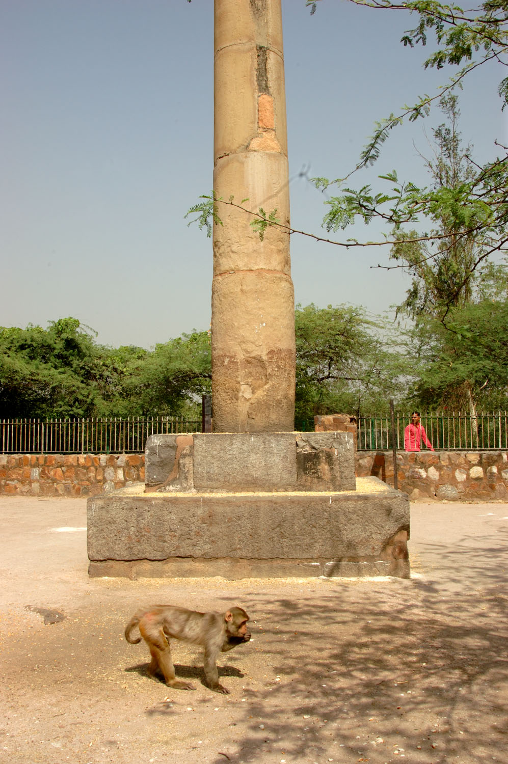 Asokan Pillar (Hindu Rao Hospital), Delhi