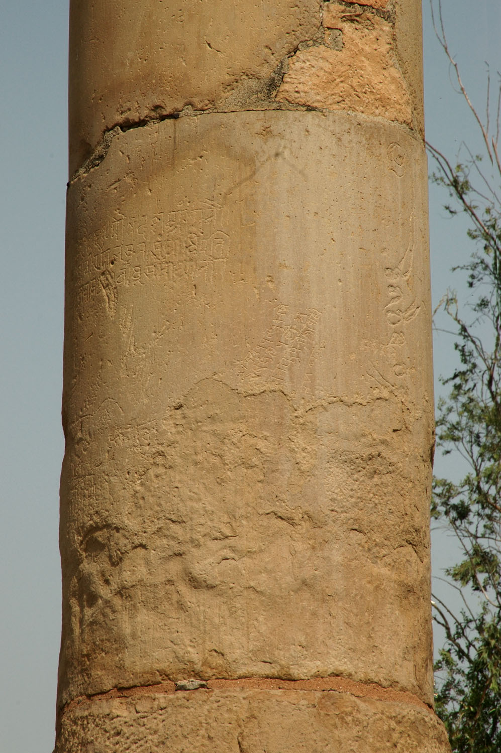 Asokan Pillar (Hindu Rao Hospital), Delhi