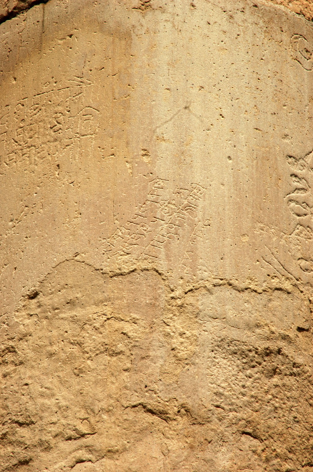 Asokan Pillar (Hindu Rao Hospital), Delhi